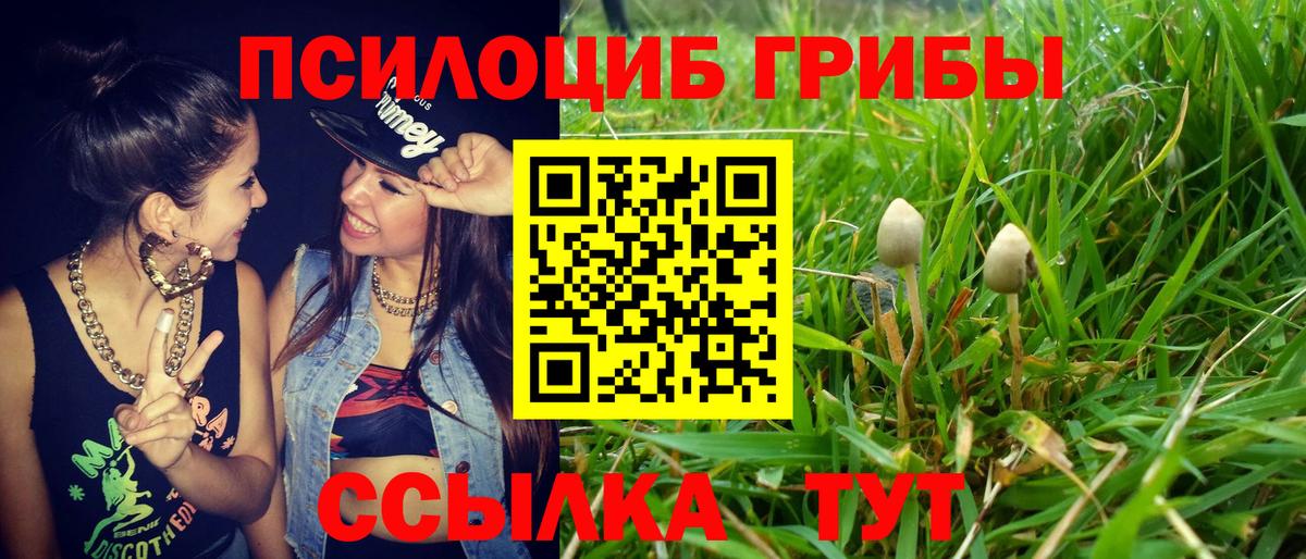 Псилоцибиновые грибы GOLDEN TEACHER  Вход с VPN  Вичуга 