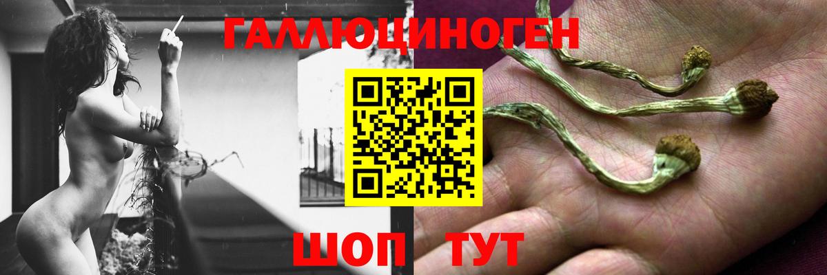 Псилоцибиновые грибы MAGIC MUSHROOMS Вичуга